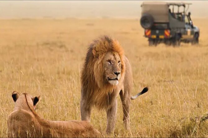 Kenya safari - Meals, accommodation, and what the price really covers