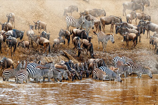Kenya safari - Private travel is the main comfort advantage