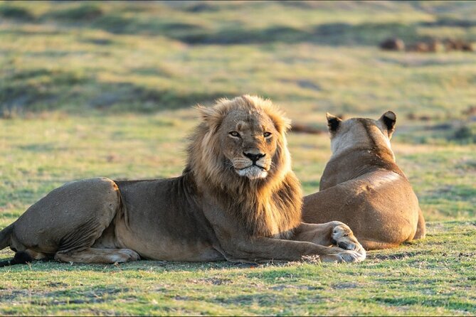 Kenya safari - Who will get the most from this safari