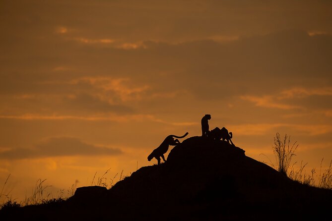 Kenya Safari: Amboseli, Lake Naivasha & Masai Mara - Day 4: Boat ride first, then the Masai Mara