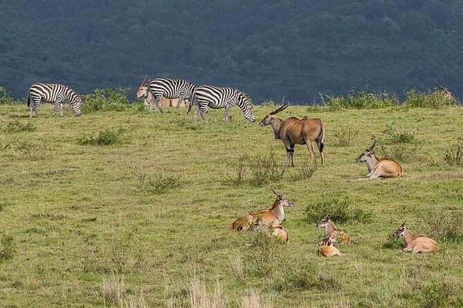Kenya safari - Lake Naivasha and Hell’s Gate offer a change of pace