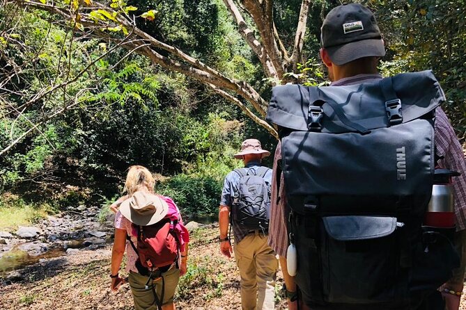 Kilimanjaro Wanderlust Day Hike - A three-hour walk through streams and forest