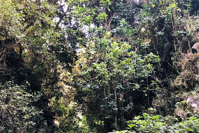 Kilimanjaro Wanderlust Day Hike - What the opening mountain stop offers