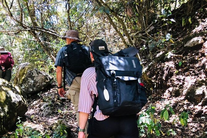 Kilimanjaro Wanderlust Day Hike - The private format and the right pace