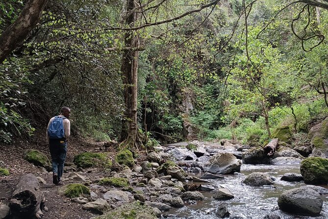 Kilimanjaro Wanderlust Day Hike - Meeting in Oloitoktok at 7:30 am