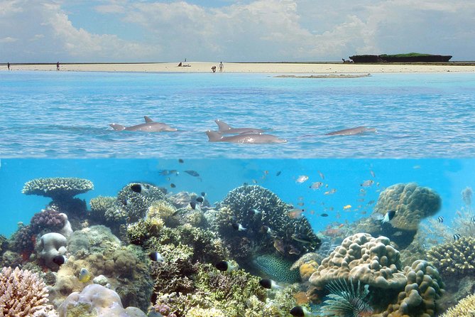 Kisite Marine Park Private Boat Snorkeling with breakfast & Lunch - Key points to know before you book