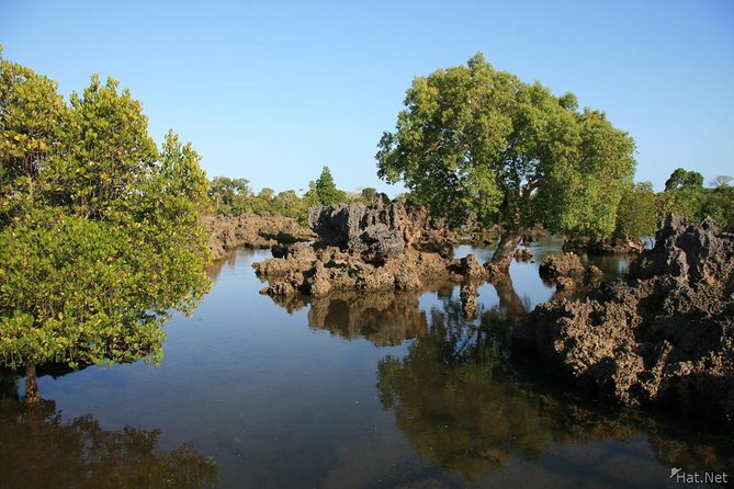 Kisite Marine Park Private Boat Snorkeling with breakfast & Lunch - A full day from hotel pickup to Shimoni