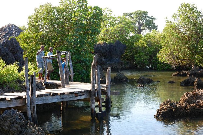 Kisite Marine Park Private Boat Snorkeling with breakfast & Lunch - The strongest points, and the points to question