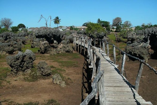 Kisite Marine Park Private Boat Snorkeling with breakfast & Lunch - Breakfast as the dhow leaves Shimoni