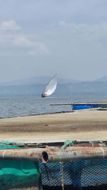 Kisumu Lake Victoria Boat Ride and Hippo Hunt - Birdwatching along the Kisumu shore