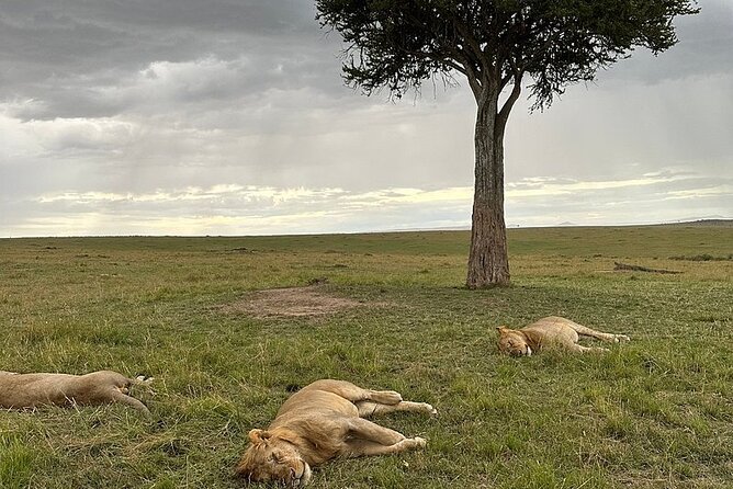 Lake Naivasha And Lake Nakuru Overnight Tour - Lake Naivasha, hippos, and optional Crescent Island