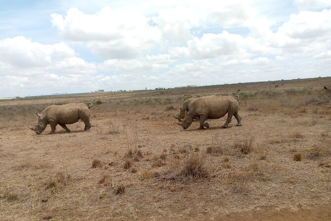 Lake Naivasha And Lake Nakuru Overnight Tour - Overnight near Lake Nakuru