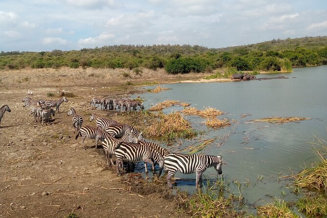 Lake Naivasha And Lake Nakuru Overnight Tour - Six hours among rhinos at Lake Nakuru