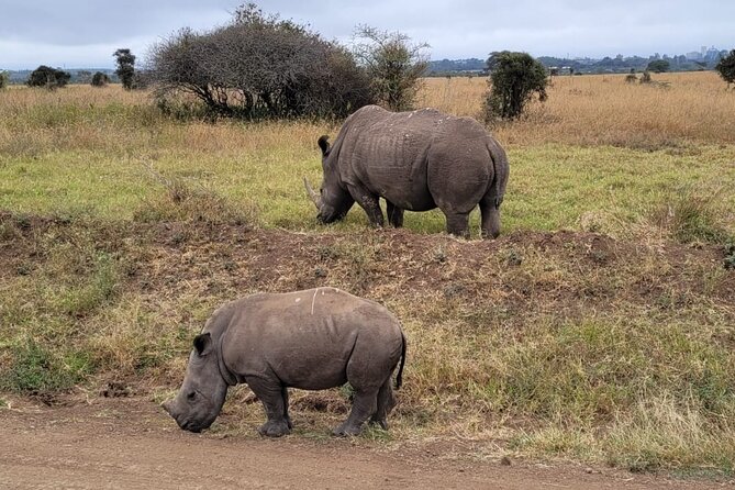 Lake Naivasha And Lake Nakuru Overnight Tour - What the private transport adds