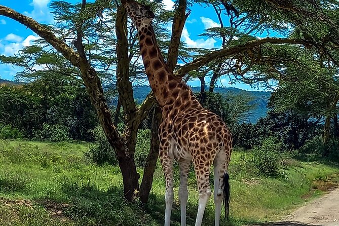 Lake Naivasha And Lake Nakuru Overnight Tour - What is included, and what will cost extra
