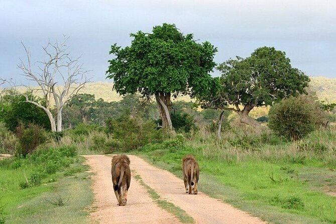 Lake Naivasha And Lake Nakuru Overnight Tour - The early ride from Nairobi to the Great Rift Valley