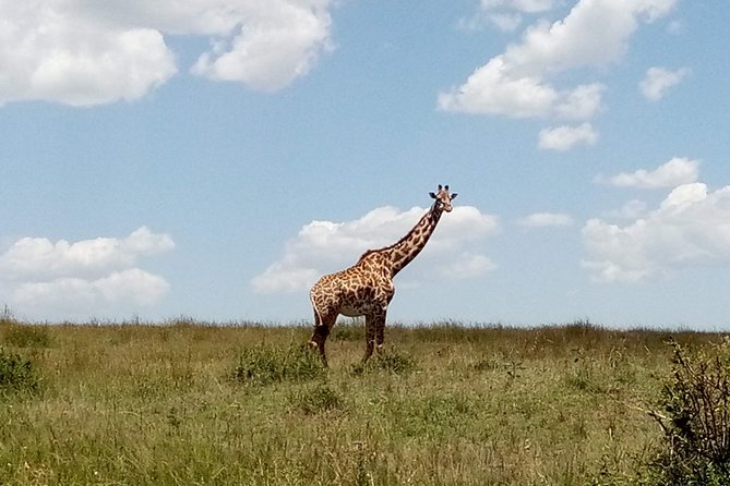 Lake Naivasha & Crescent island day trip. - Hell’s Gate: two hours among cliffs and herbivores