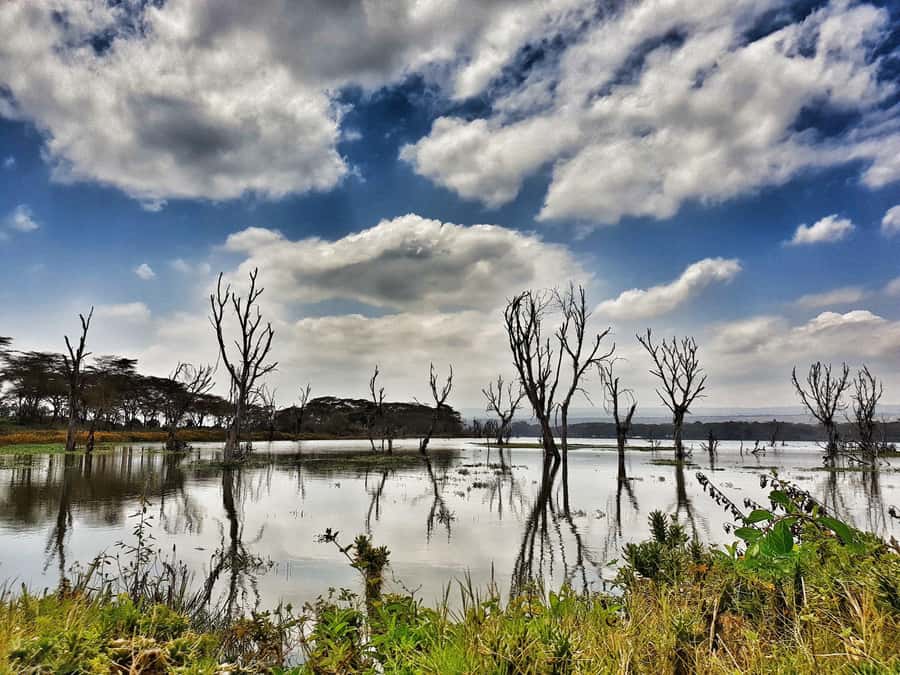 Lake Naivasha: Crescent Island Game Sanctuary - What the $70 price really covers
