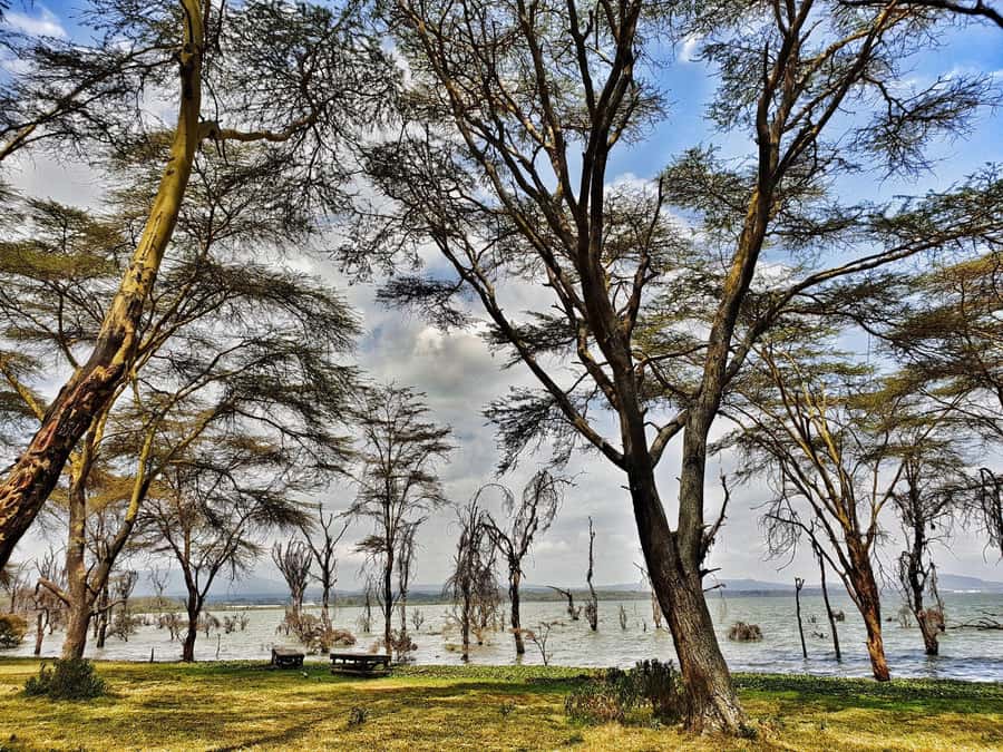 Lake Naivasha: Crescent Island Game Sanctuary - Who will enjoy this day trip most
