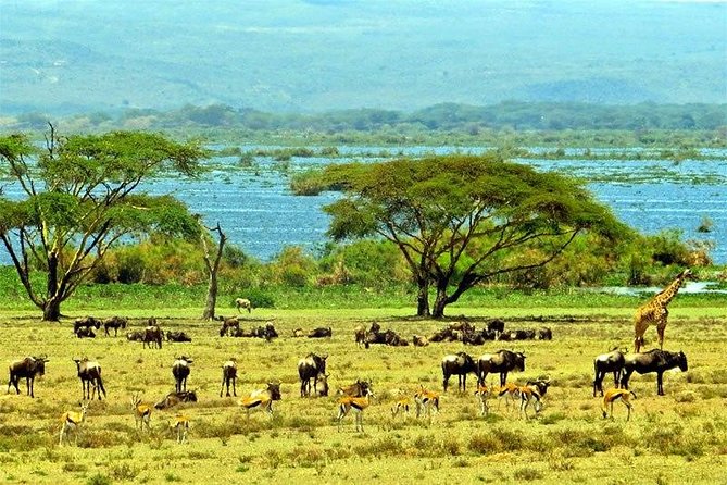 Lake Naivasha day tour including the crescent island - Why the small group matters
