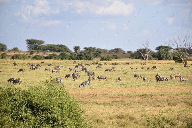 Lake Naivasha day tour including the crescent island - Weather, comfort, and what to bring