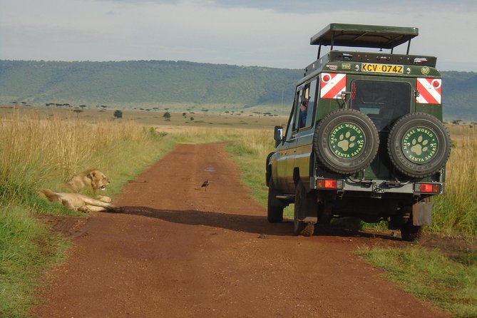 Lake Nakuru, Naivasha & Masai Mara 4 Days Private Jeep Safari - Day 1: Rift Valley views, Naivasha by boat, and Lake Nakuru