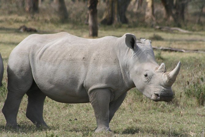 Lake Nakuru National Park & Boat Ride at Lake Naivasha Day Tour From Nairobi - The 6am departure and the road to the Great Rift Valley