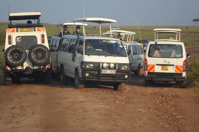 Lake Nakuru National Park Day Tour Via Lake Naivasha - Lunch at Lake Flamingo Lodge or Sarova Lion Hill Lodge