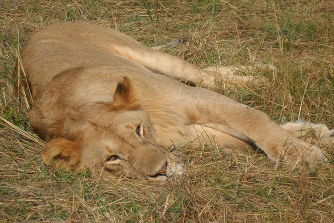 Lake Nakuru National Park Day Tour Via Lake Naivasha - The Lake Naivasha boat ride