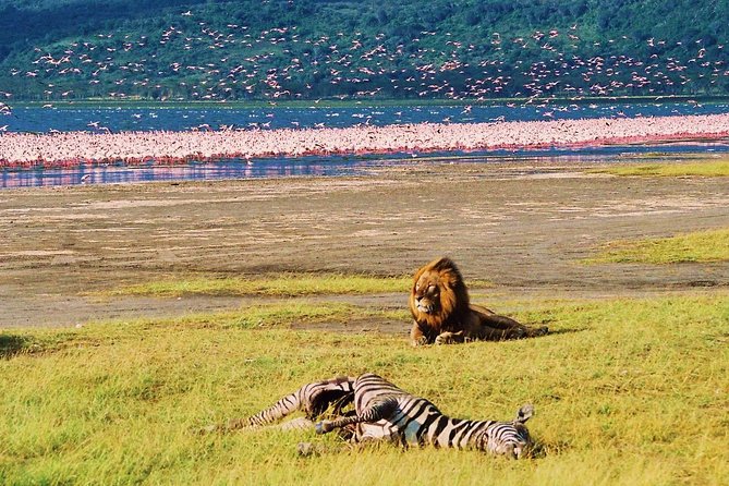 Lake Nakuru National Park: Day Trip from Nairobi - White Rhinos, Giraffes, Buffalo, and Plains Game