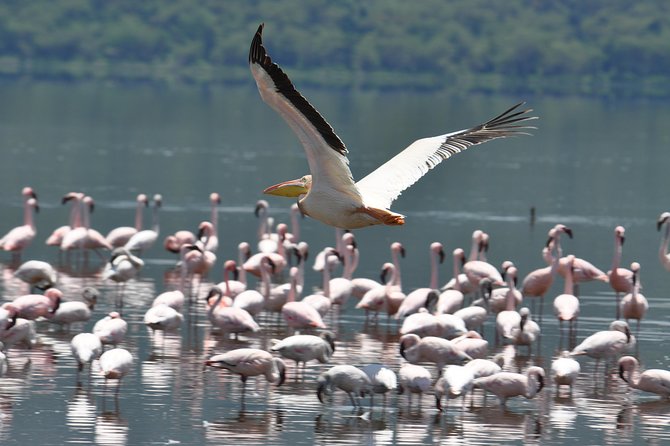 Lake Nakuru National Park daytrip - A five-minute stop at Mai Mahiu Catholic Church