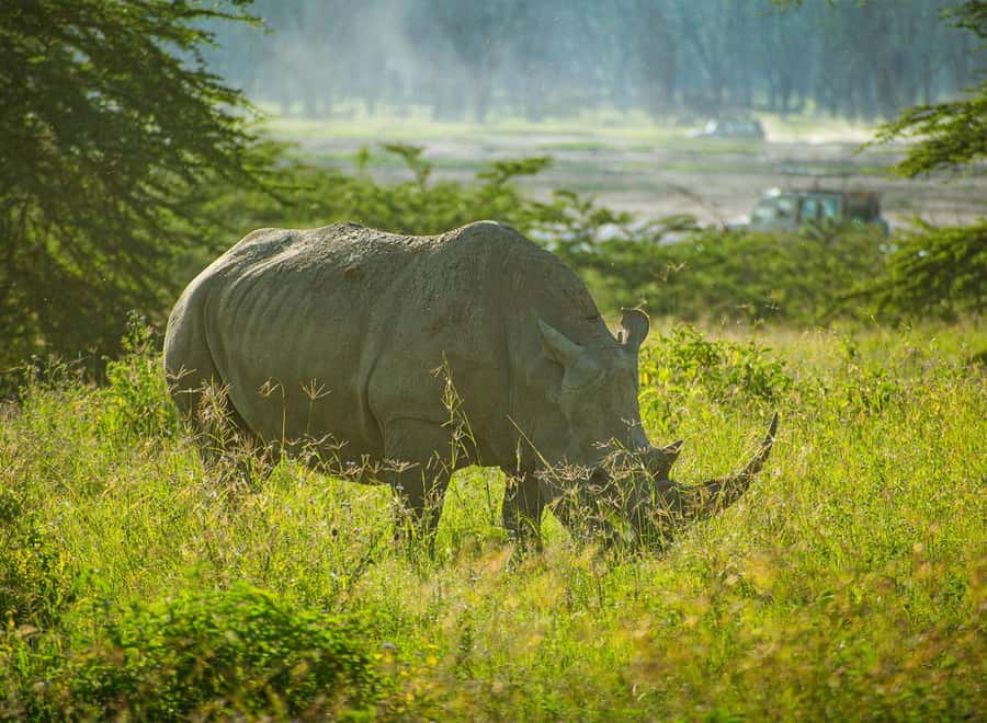 Lake Nakuru National Park: Daytrip in a 4X4 Private Jeep - The Great Rift Valley stop