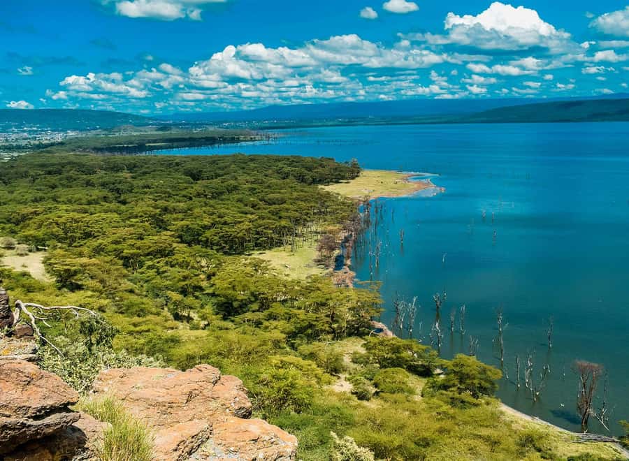 Lake Nakuru National Park: Daytrip in a 4X4 Private Jeep - The 6:00 am start from Nairobi