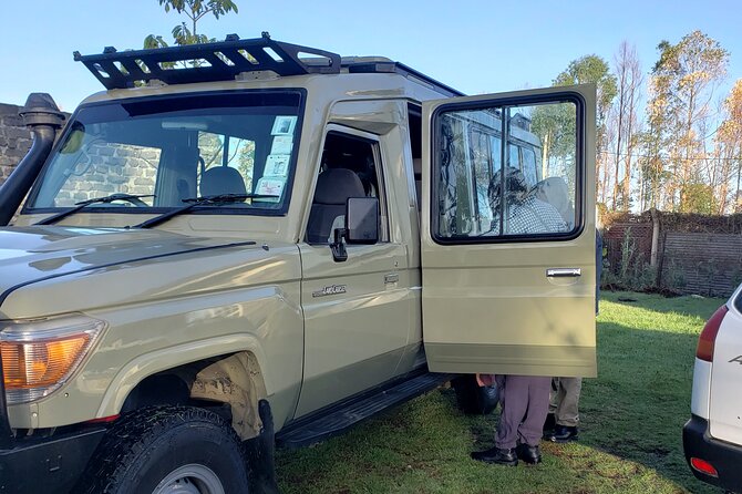 Lake Nakuru NP Half-Day Safari - What the small private format changes
