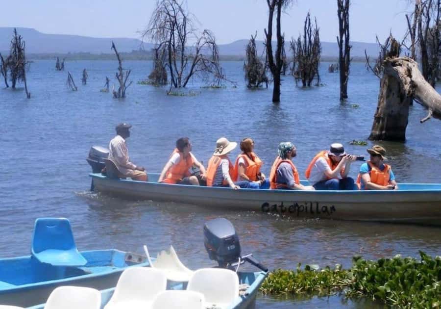 Lakes Nakuru& Naivasha National Park Wildlife Highlights - What the $180 price really buys