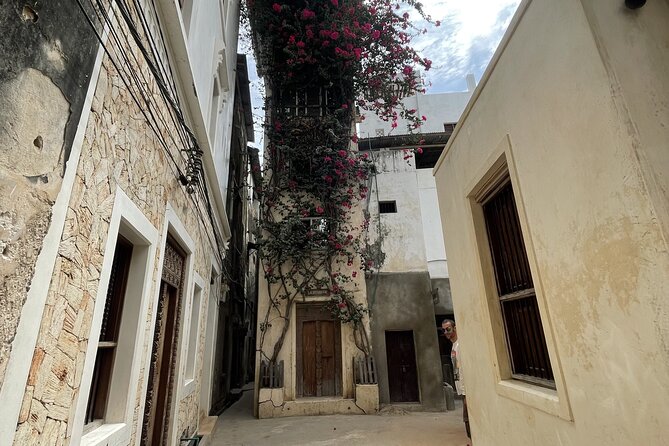 Lamu Old Town Walking Tour - Starting at Lamu Town Square