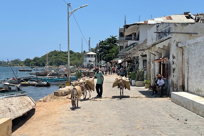 Lamu Old Town Walking Tour - The seafront and traditional Swahili music