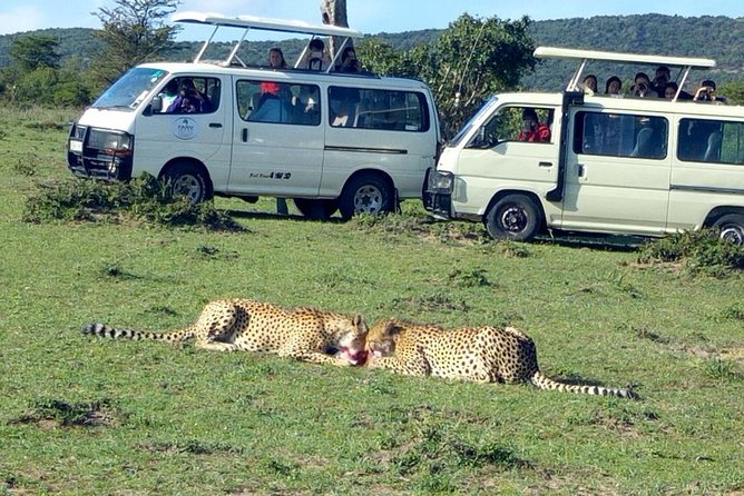 Maasai Mara 2-Day Safari Tour from Nairobi - Key points to know before booking