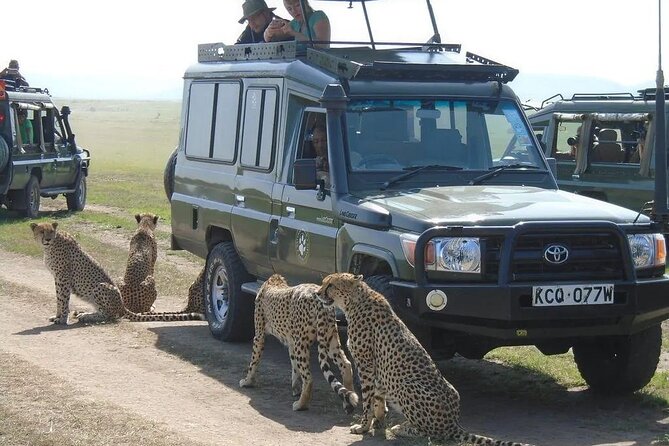 Maasai Mara 3 Day Guided Tour - The return drive and final game viewing