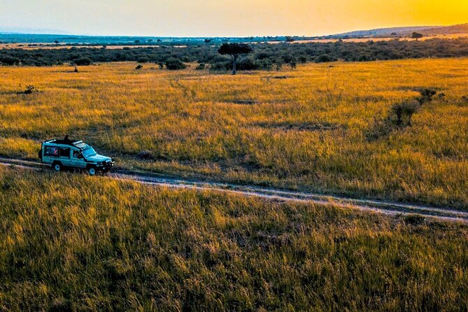 Maasai Mara 3 Day Guided Tour - Practical details to settle before departure