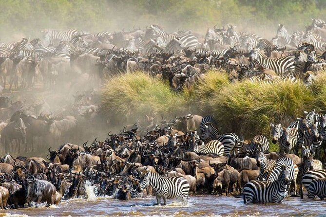 Maasai Mara 3 Day Guided Tour - Arrival, lunch, and your first afternoon drive