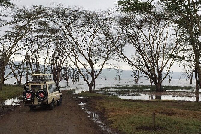 Maasai Mara Day Trip - What the game drive may include