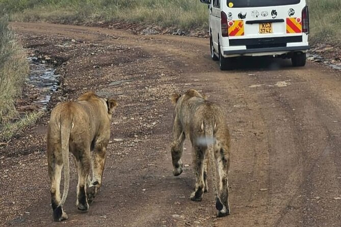 Maasai Mara Day Trip - Who should choose this day trip?