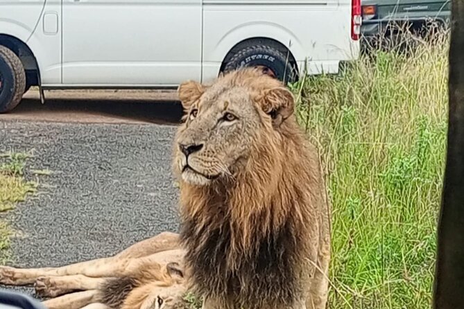 Maasai Mara Day Trip - Practical ways to make the day better