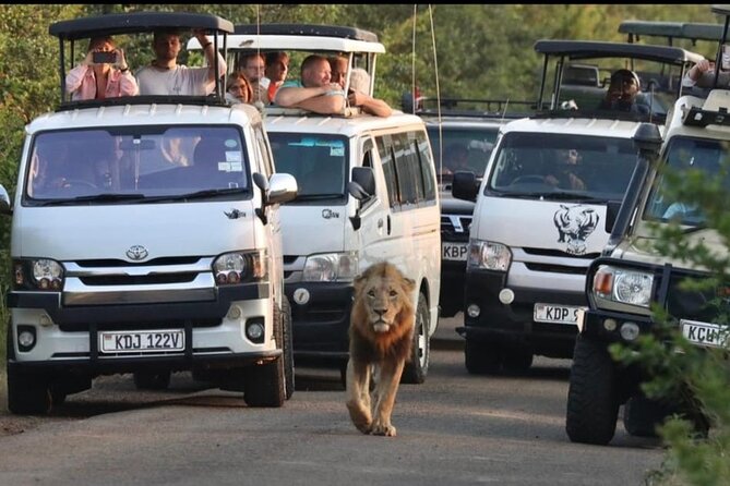 Maasai Mara Day Trip From Nairobi - Key points to know before booking