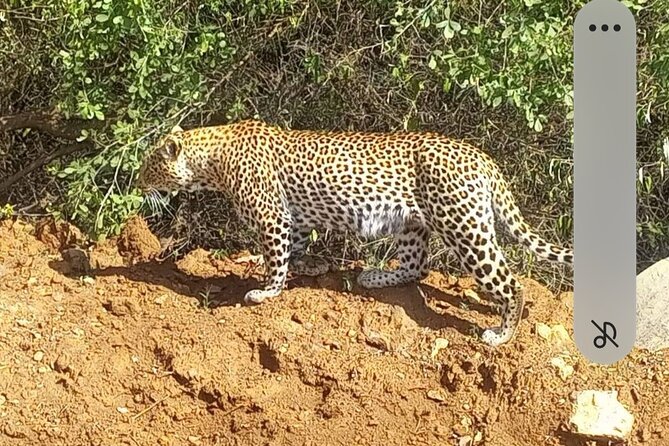 Maasai Mara Day Trip From Nairobi - Why this day trip works for a short Nairobi visit