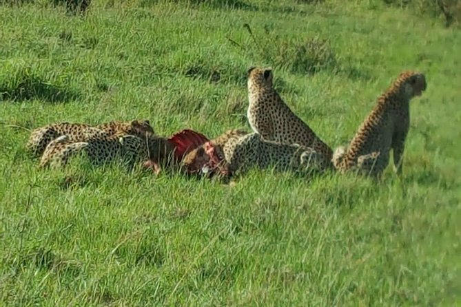 Maasai Mara Game Reserve - What the $2,100 price covers