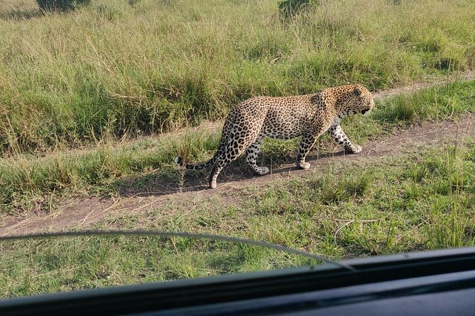 Maasai Mara Safari!! - Leaving Nairobi for the Maasai Mara