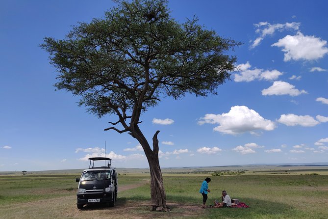 Maasai Mara Safari!! - The optional Maasai village visit
