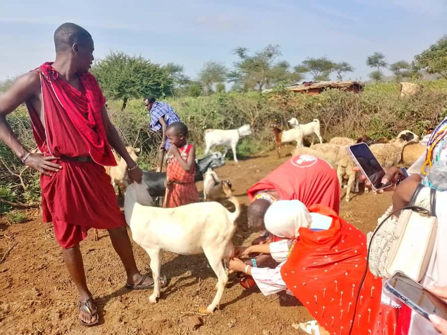 Maasai Village: Cultural Experience of The Maasai Tradition - From Nairobi streets to open Kenyan country